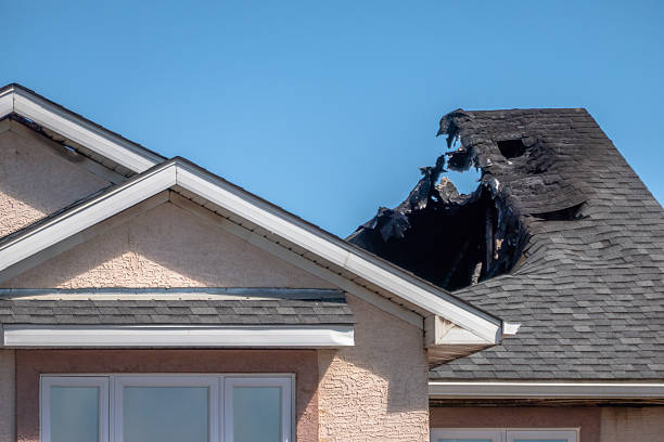 Top rated local Odor Removal specialists in Glenside, PA